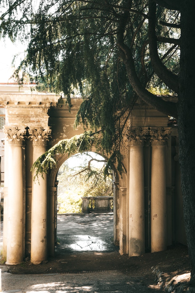 photo of a gateway opening to a garden area with an evergreen tree on the righthand side